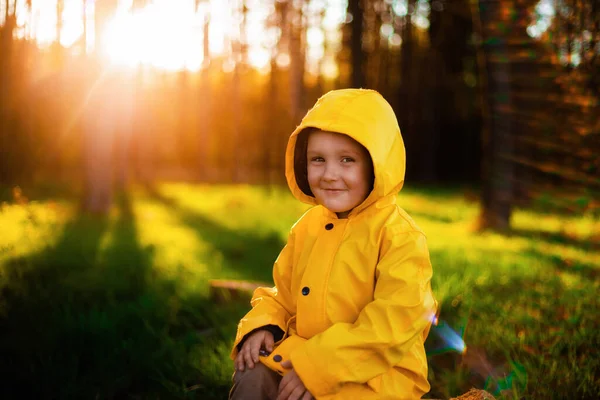 Rapazinho Casaco Amarelo Senta Num Tronco Floresta Conceito Cuidado Natureza — Fotografia de Stock