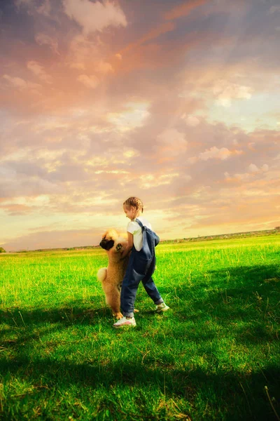 Gelukkig Klein Meisje Met Staarten Denim Overall Speelt Straat Met — Stockfoto