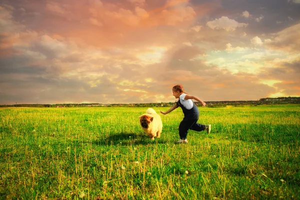 Menina Feliz Com Tranças Macacão Denim Brinca Rua Com Cão — Fotografia de Stock