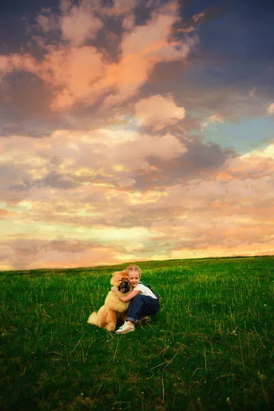 Menina Feliz Com Tranças Macacão Denim Brinca Rua Com Cão — Fotografia de Stock