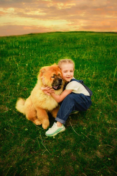 Menina Feliz Com Tranças Macacão Denim Brinca Rua Com Cão — Fotografia de Stock