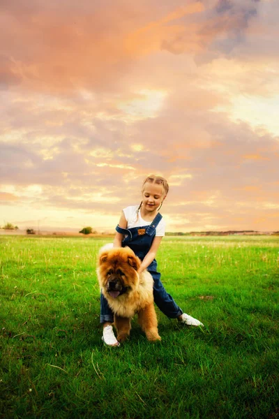 Menina Feliz Com Tranças Macacão Denim Brinca Rua Com Cão — Fotografia de Stock