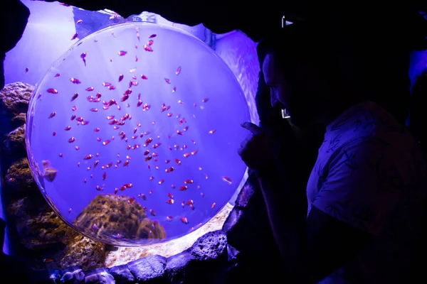 Een Man Let Vissen Het Aquarium Oceanarium Zeevissen Het Aquarium — Stockfoto