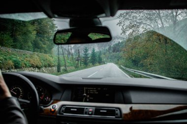 Doğa. Ukrayna dağları Karpatlar. Ukrayna doğası. Güzellik etrafımızı sarar. Çevreyi koru. Orman tahribatı yok