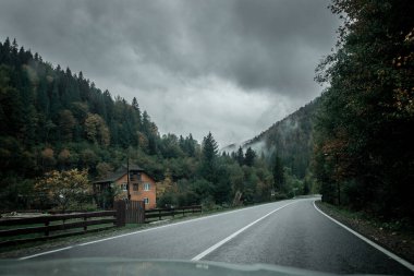 Doğa. Ukrayna dağları Karpatlar. Ukrayna doğası. Güzellik etrafımızı sarar. Çevreyi koru. Orman tahribatı yok