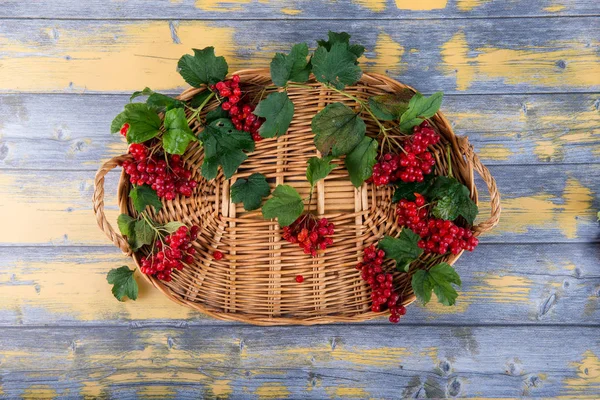 ガマズミ果実と葉は枝編み細工品バスケット木製の背景上で新鮮な枝 — ストック写真