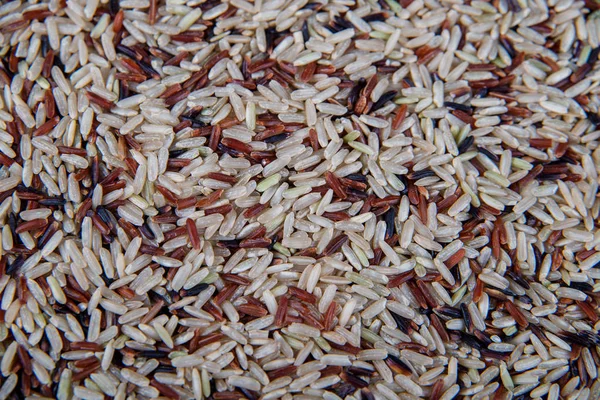 Food background with three mixed of Thai rice varieties : brown rice, mixed wild rice, white (jasmine) rice. species Oryza sativa