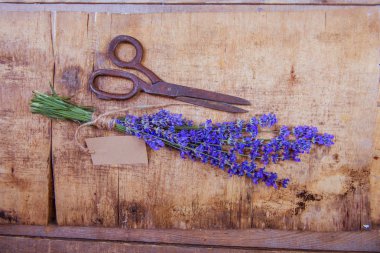 Lavanta çiçekleri, kırsal arka planda buket, genel giderler. 