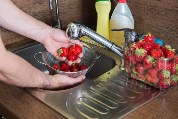 Men Hand Washing Strawberries Freshly Harvested Strawberries Kitchen Sink — Stock Photo, Image