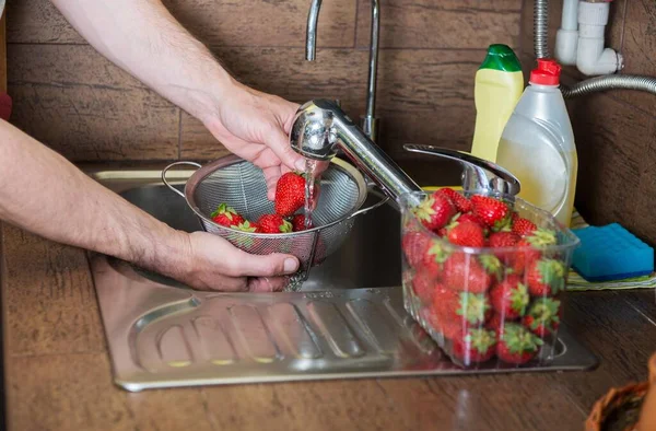 Männer Waschen Erdbeeren Von Hand Frisch Geerntete Erdbeeren Der Spüle — Stockfoto