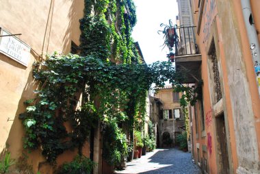 Pitoresk bir sokak tarihi Trastevere bölgesinde, Roma, İtalya
