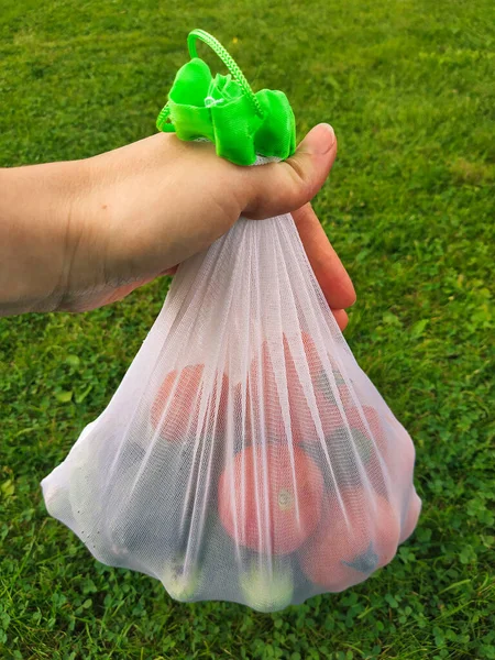 Hand hold eco bag with fresh organic vegetables: cucumbers, tomatoes. herbs. Eco friendly, zero waste food shopping, and healthy food concept. Natural background.