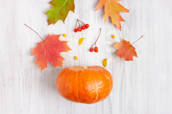 Flying pumpkin and autumn oak and maple leaves on a white wooden background. Thanksgiving day or Halloween decoration concept. Flat lay, copy space.