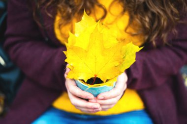 Sarı akçaağaç yaprakları dişilerin elinde bir kapta.