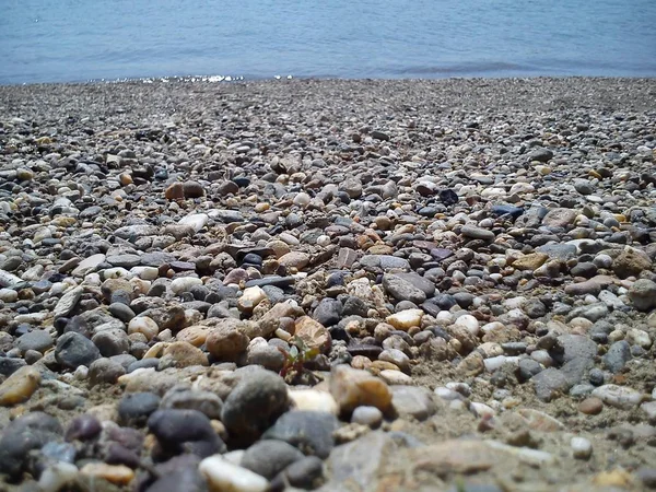 여름에 바위 해변입니다. 배경에는 푸른 물이 있습니다. — 스톡 사진