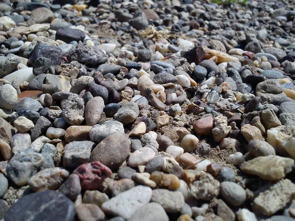 Βραχώδης παραλία το καλοκαίρι. Οι παράκτιες πέτρες διαφορετικών χρωμάτων και μεγεθών είναι διάσπαρτες — Φωτογραφία Αρχείου