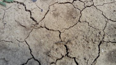 Kurumuş gri toprakta derin çatlaklar, kurak iklim