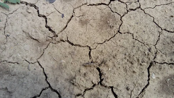 Tiefe Risse auf trockener grauer Erde, trockenes Klima — Stockfoto