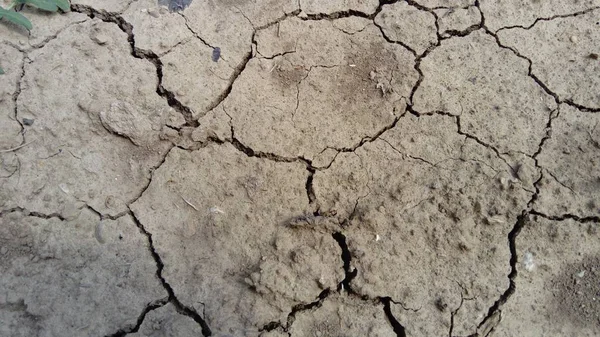 Diepe scheuren op gedroogde grijze aarde, dorre klimaat — Stockfoto