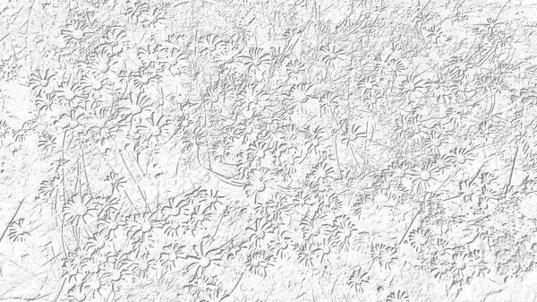 Imagen abstracta sobre un fondo blanco con líneas grises sobre un tema vegetal con manzanillas —  Fotos de Stock