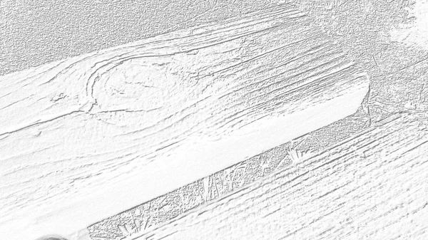 Текстура дерева в сером на белом фоне — стоковое фото
