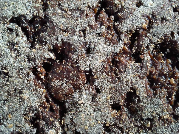 Primer plano del lado exterior de un pedazo de pan de centeno con harina espolvoreada y granos enteros en colores marrones cálidos — Foto de Stock