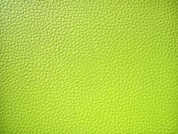 Closeup of pig\'s skin painted green. Skin imitation