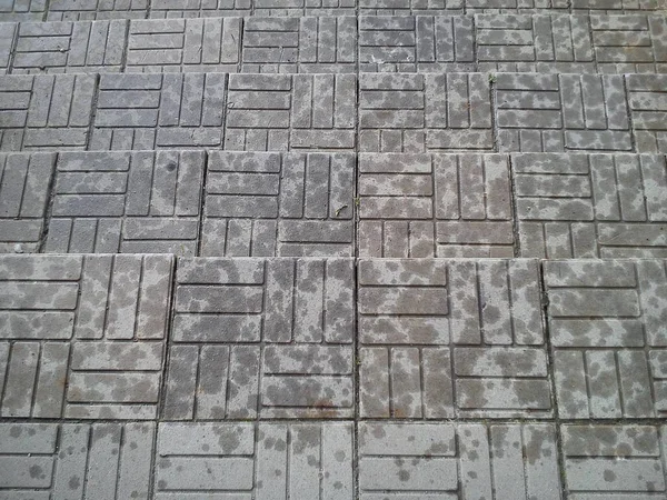 Traces of raindrops on steps from gray tiles — Stockfoto