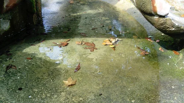 Uma fonte da cidade com um fundo de concreto. Folhas de outono de cores diferentes. Reflexão de um céu azul na água . — Fotografia de Stock