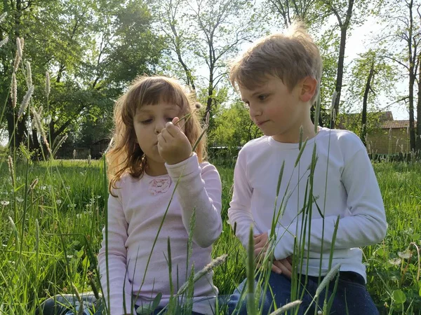 Zwei Goldhaarige Kinder Spielen Auf Dem Feld — Stockfoto