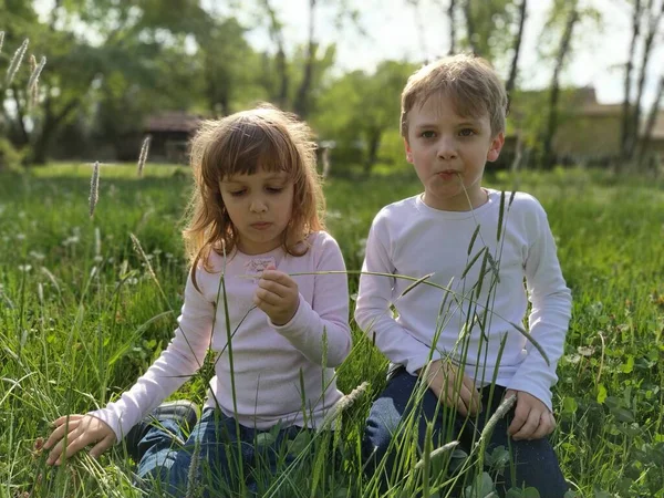 Zwei Schöne Blondhaarige Kinder Spielen Auf Dem Feld — Stockfoto