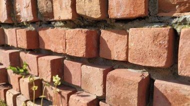 Eski, içi boş tuğla duvar arka planı. Kenarında düz olmayan tuğla duvar var. Kırmızı, içi boş tuğla. Işık ve gölge.