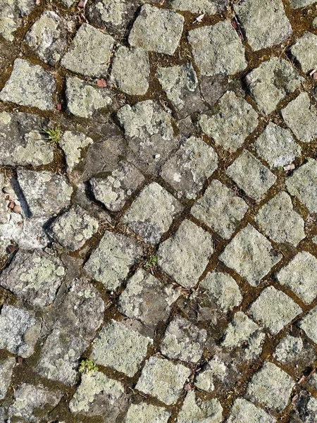 Concrete Cobble Gray Pavement Slabs Stones Floor Wall Path Traditional — Stock Photo, Image