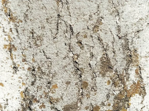 The textured surface of a concrete wall, marble, granite or light stone with dark spots and cracks. Abstract background. Creative background light gray with red and brown pieces of moss, dirt and dust — Stock Photo, Image