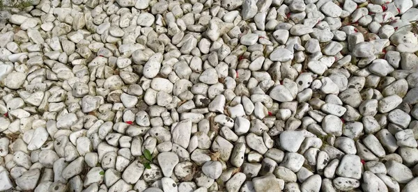 Υπόβαθρο Από Πέτρες Στρογγυλή Υφή Πέτρας Χρωματιστή Πλακόστρωτη Πέτρα Τοίχος — Φωτογραφία Αρχείου
