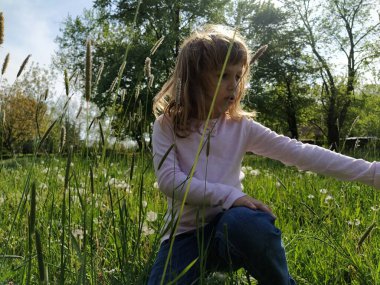 Çayırdaki kız. Dikenli yeşil çimen çocuğun etrafını sarar. Ekoloji ve doğa ile uyum kavramı. Şirin kız çiçeklere elleriyle dokunuyor. Tahıllı tarla