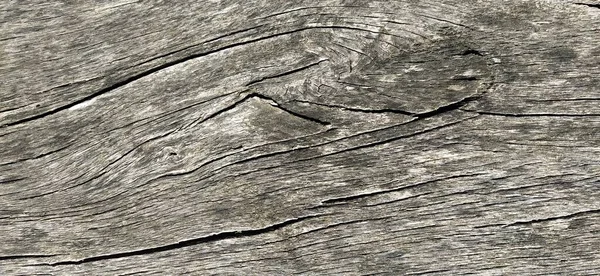 Old gray wooden texture with cracks. Close-up. — Stock Photo, Image