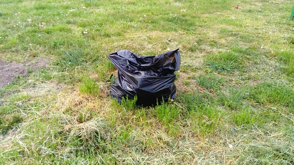 https://st4.depositphotos.com/27245200/39637/i/450/depositphotos_396378494-stock-photo-black-garbage-bag-grass-field.jpg