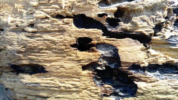 Madera Desmenuzada Húmeda Cerca Una Superficie Madera Que Está Agua — Foto de Stock