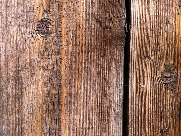 Yakın plan meşe ağacı desenli arka plan. Düğümlü yerleri olan dikey tahtalar. Maun ya da zencefil rengi. Doğal dokular. Sert ahşap yüzey.