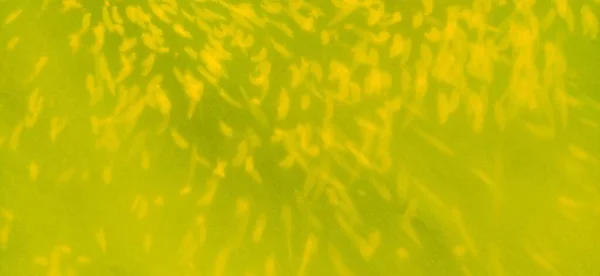 Барвистий Фон Жовтих Зелених Кольорах Ефект Боке — стокове фото