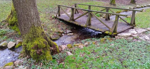 Γέφυρα Πάνω Από Ένα Ρυάκι Στο Δάσος Εκβολή Του Ποταμού — Φωτογραφία Αρχείου