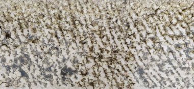 Arka plan için beyaz mermer doğal desen. Mermer yüzey. Saraybosna, Bosna-Hersek, tarihi merkez. Caminin yakınındaki kaldırıma yakın çekim. Hafif mermer ya da taş