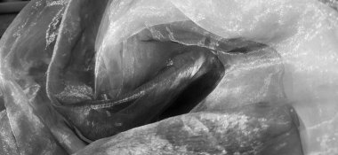 Organza monokrom. Parlak, yansıtıcı, perdeler ve tüller için güzel kumaş. İç tasarım seçeneği. Çarpık, gün ışığında gelişigüzel katlanmış organza bölümü.