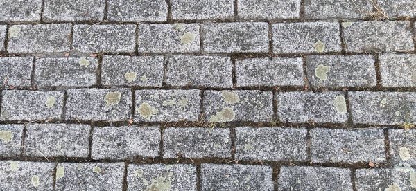 Street tiles are rectangular. Paved street or pavement, city street decoration in retro or vintage style. Gray stone or brick wall.