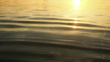 Altın bir günbatımının güzel yansımaları gibi yumuşak dalgalar suyun yüzeyinde dans eder. Huzurlu sahne, akşam ışığında rahatlamaya ve huzura davet ediyor..