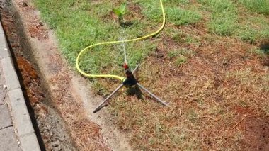 Bir fıskiye sistemi aktif olarak yerleşim alanındaki kuru bir çimenliği suluyor. Çimenler çok ihtiyaç duyulan suyu alırken güneş parlıyor. Yakınlarda, küçük bir bitki kurak koşullarda mücadele ediyor.