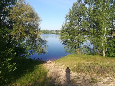 Orman gölünün kumlu kıyısında yaz sabahı 