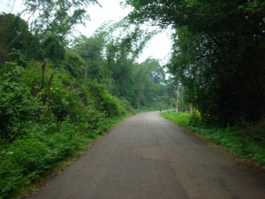 hayatımda ileriye giden yol