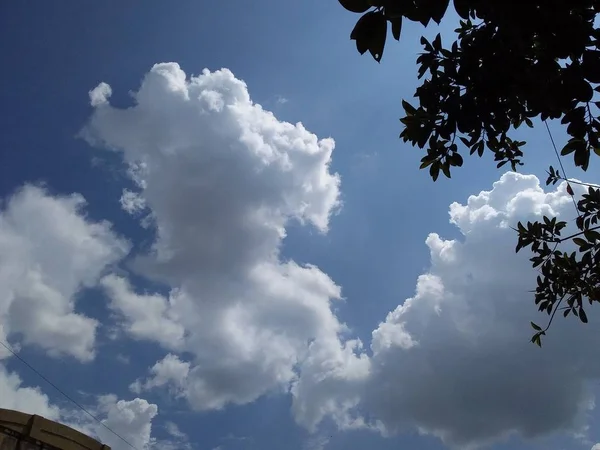 空の雲の研究です — ストック写真